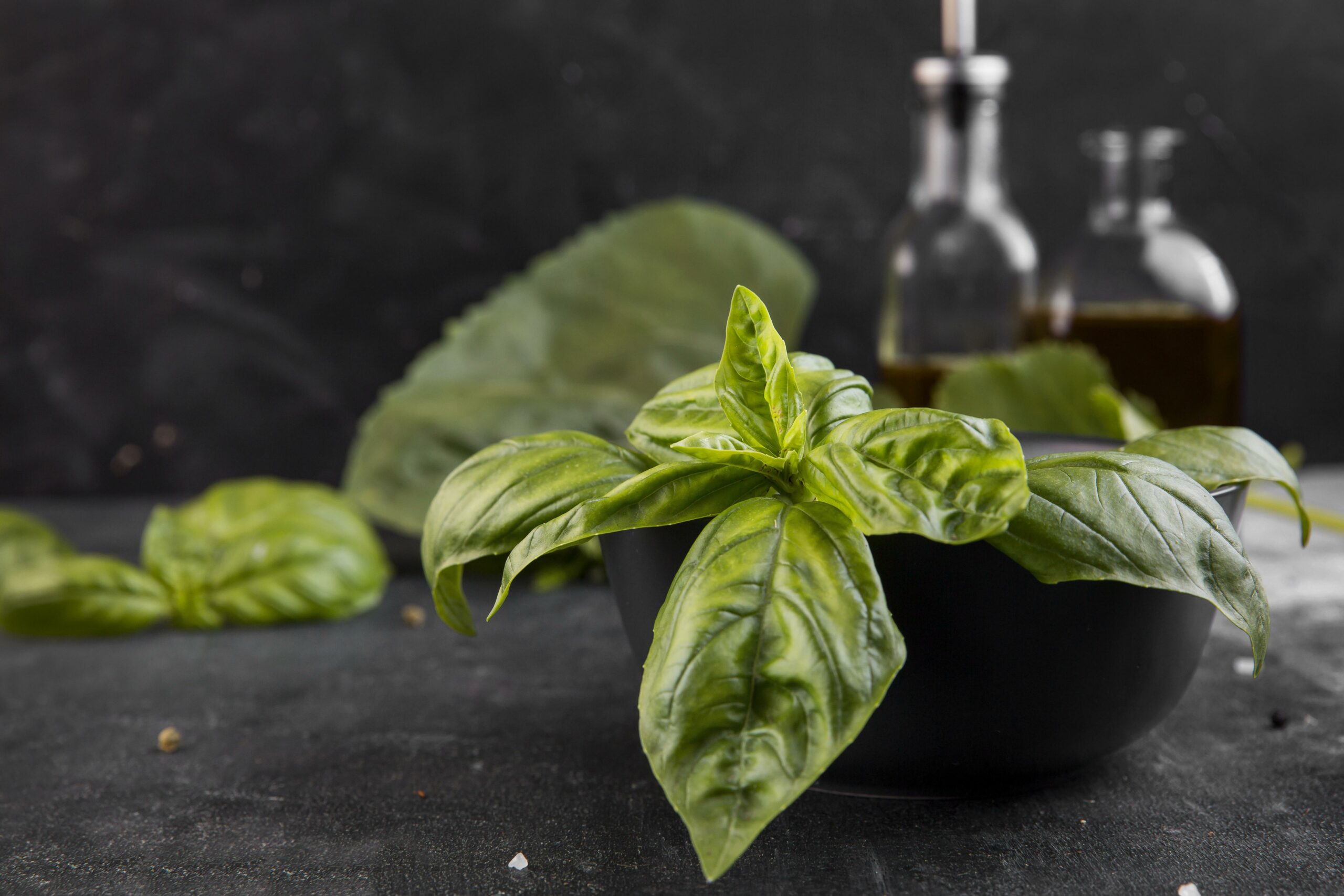 arrangement-de-plante-nutritive-dans-un-bol La formation pour devenir wedding planner est cruciale pour maîtriser tous les aspects du métier, des relations avec les clients à la coordination des événements.